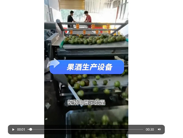 李子酒生产设备 果酒设备