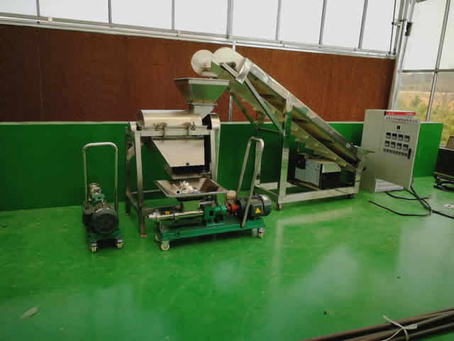 桃子去核破碎机器 桃子去核机